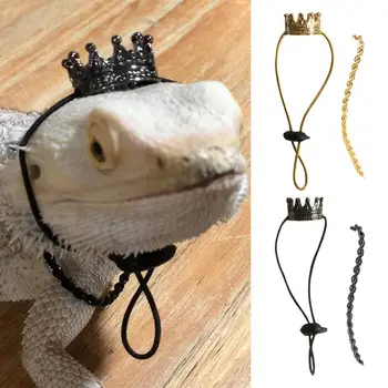 1 Conjunto de Lagarto Ornamento Confortável, Elegante Fivela Pet Pet Chapéu de Vestir Liga de Dragão Barbudo Lagarto Coroa Colar para o Lar